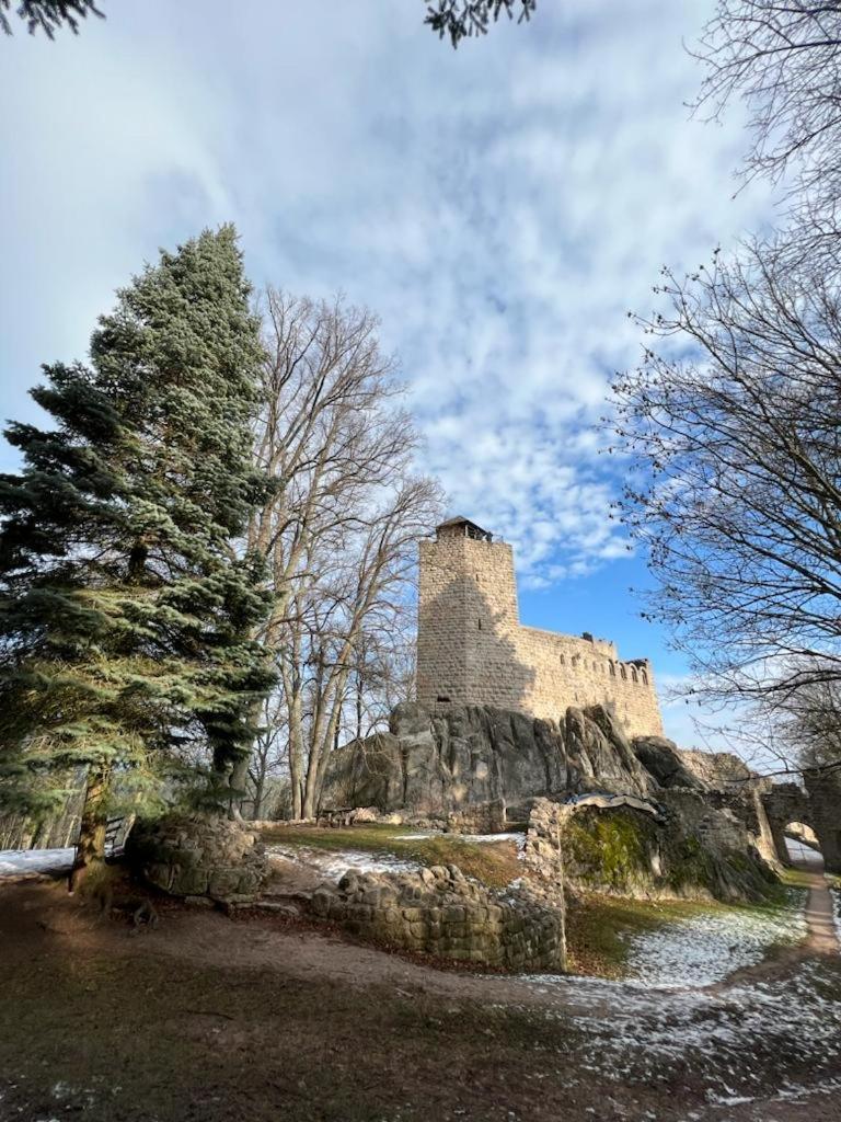 Bonne Idee - Suite Georgette - Meuble De Tourisme 3 Etoiles Châtenois Exteriér fotografie